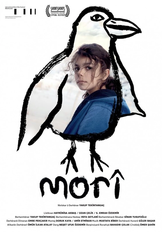 7_afis_mori